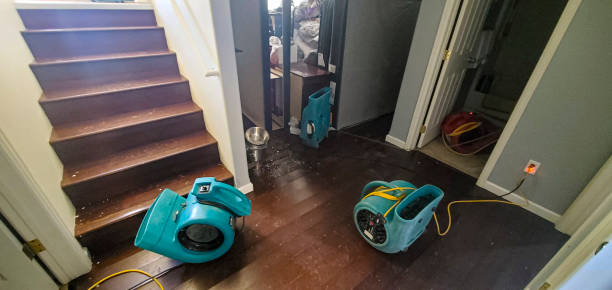 Best Sewage cleanup and water damage restoration  in Pojoaque, NM