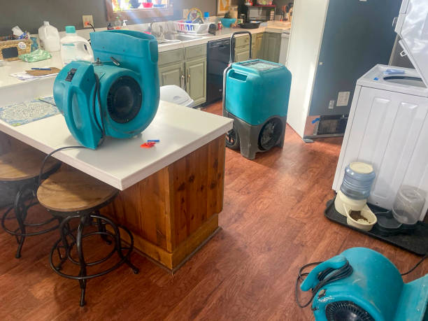 Best Water damage restoration near me  in Pojoaque, NM