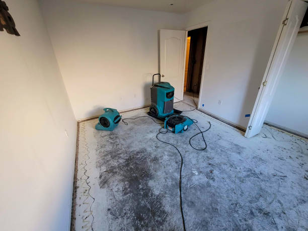 Best Water damage contractors near me  in Pojoaque, NM