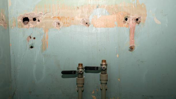 Best Water damage restoration near me  in Pojoaque, NM