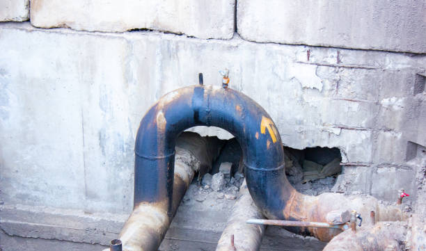 Best Professional water damage repair  in Pojoaque, NM