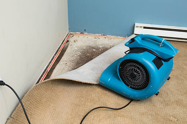 Best Flood damage cleanup  in Pojoaque, NM